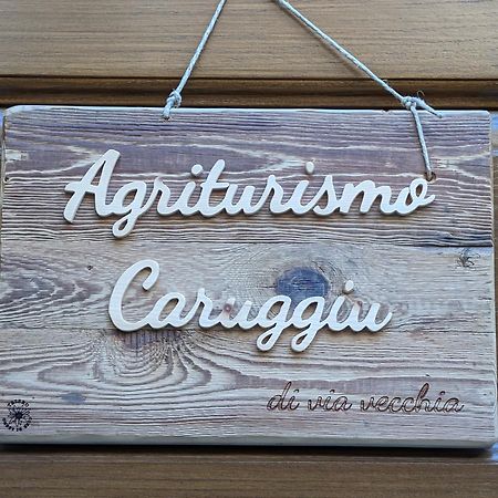 Agriturismo Caruggiu Di Via Vecchia Orco Feglino Luaran gambar