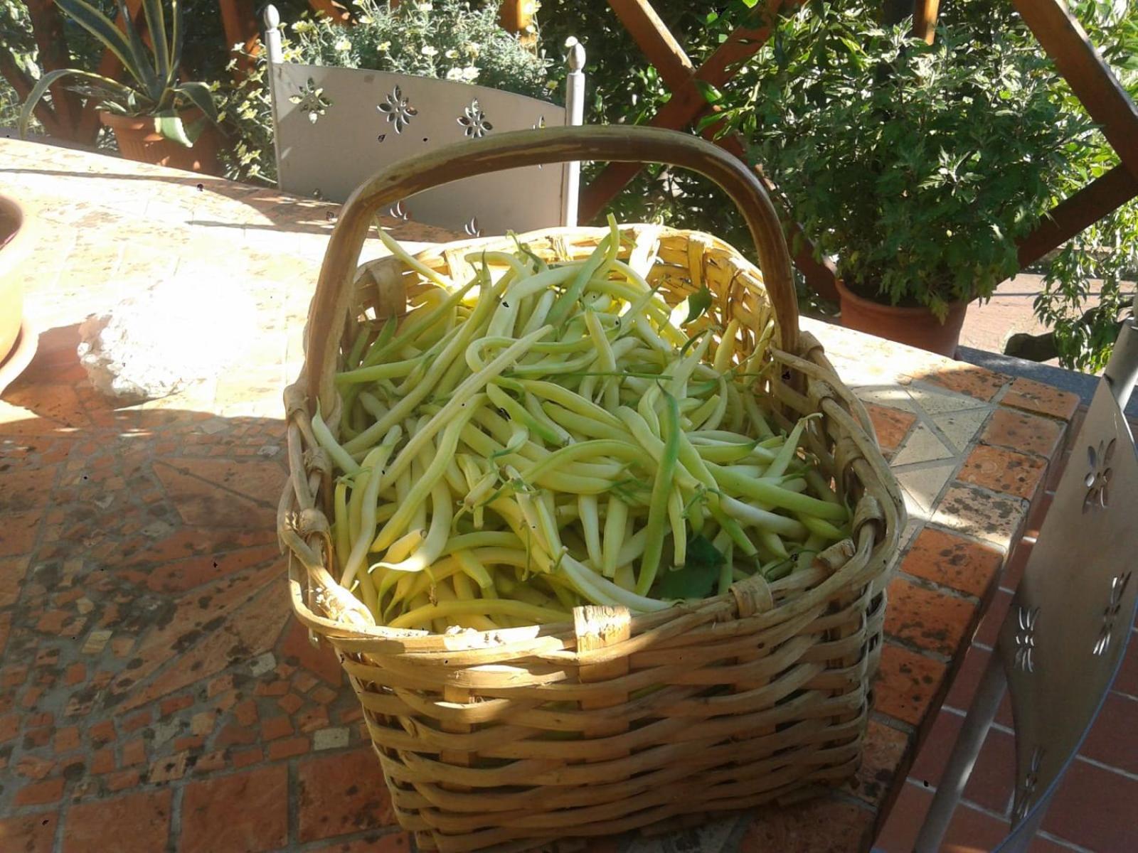 Agriturismo Caruggiu Di Via Vecchia Orco Feglino Luaran gambar